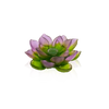 Green Pink Decorative Flower - Jardin de Lotus Daum