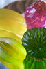 Sugar apple - Tutti Frutti Daum