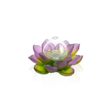 Green Pink Soliflore - Jardin de Lotus Daum