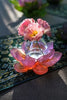 Amber Pink Soliflore - Jardin de Lotus Daum