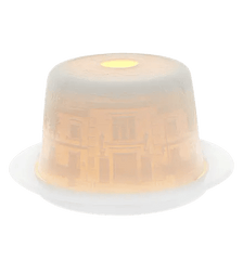 195 ANOS LITHOPHANIE 195 YEARS VA Vista Alegre