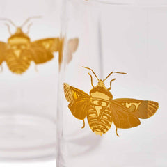 Spode Creatures of Curiosity Glass Tumbler Set – Luxury Gold Moth Whiskey Glasses