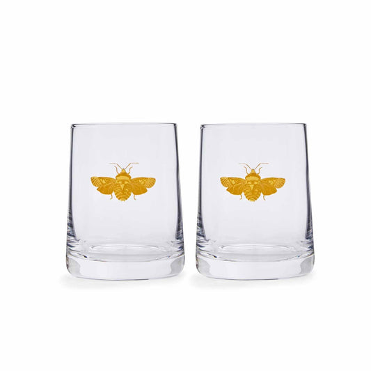 Spode Creatures of Curiosity Glass Tumbler Set – Luxury Gold Moth Whiskey Glasses