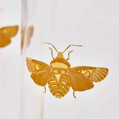 Spode Creatures of Curiosity Highball Glass Set – Luxury Gold Moth Tumblers