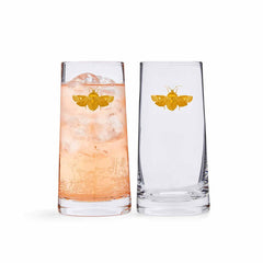 Spode Creatures of Curiosity Highball Glass Set – Luxury Gold Moth Tumblers