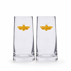 Spode Creatures of Curiosity Highball Glass Set – Luxury Gold Moth Tumblers