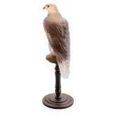 Amber pink Faucon Gerfaut by Madeleine van der Knoop Daum