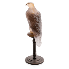 Amber pink Faucon Gerfaut by Madeleine van der Knoop Daum