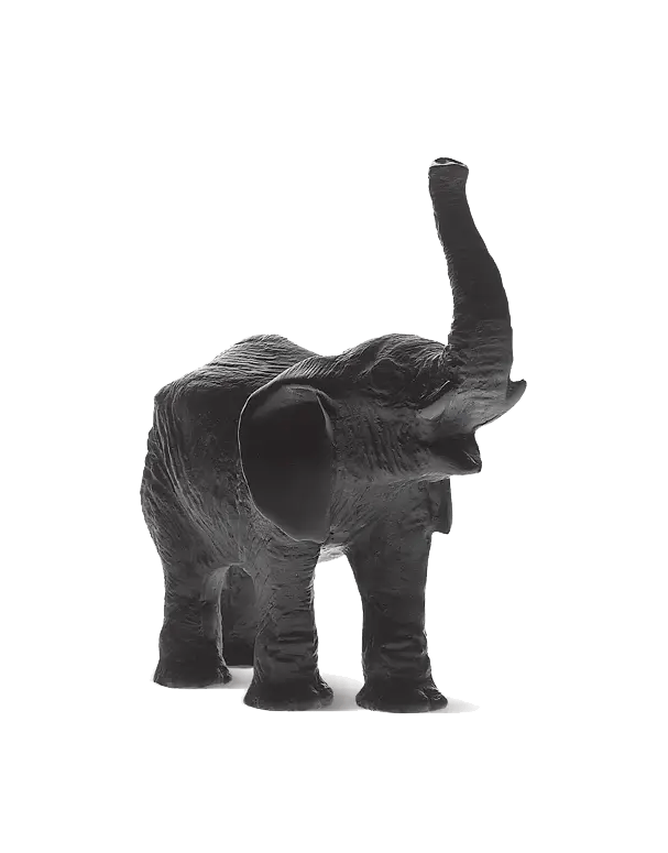 Black Elephant by Jean-François Leroy Daum