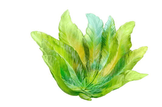 Bornéo Bowl by Emilio Robba 375 ex Daum