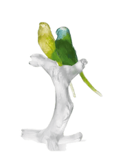 Budgerigars Bird Couple on Branch Daum