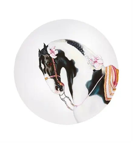 CABALLUS Vista Alegre