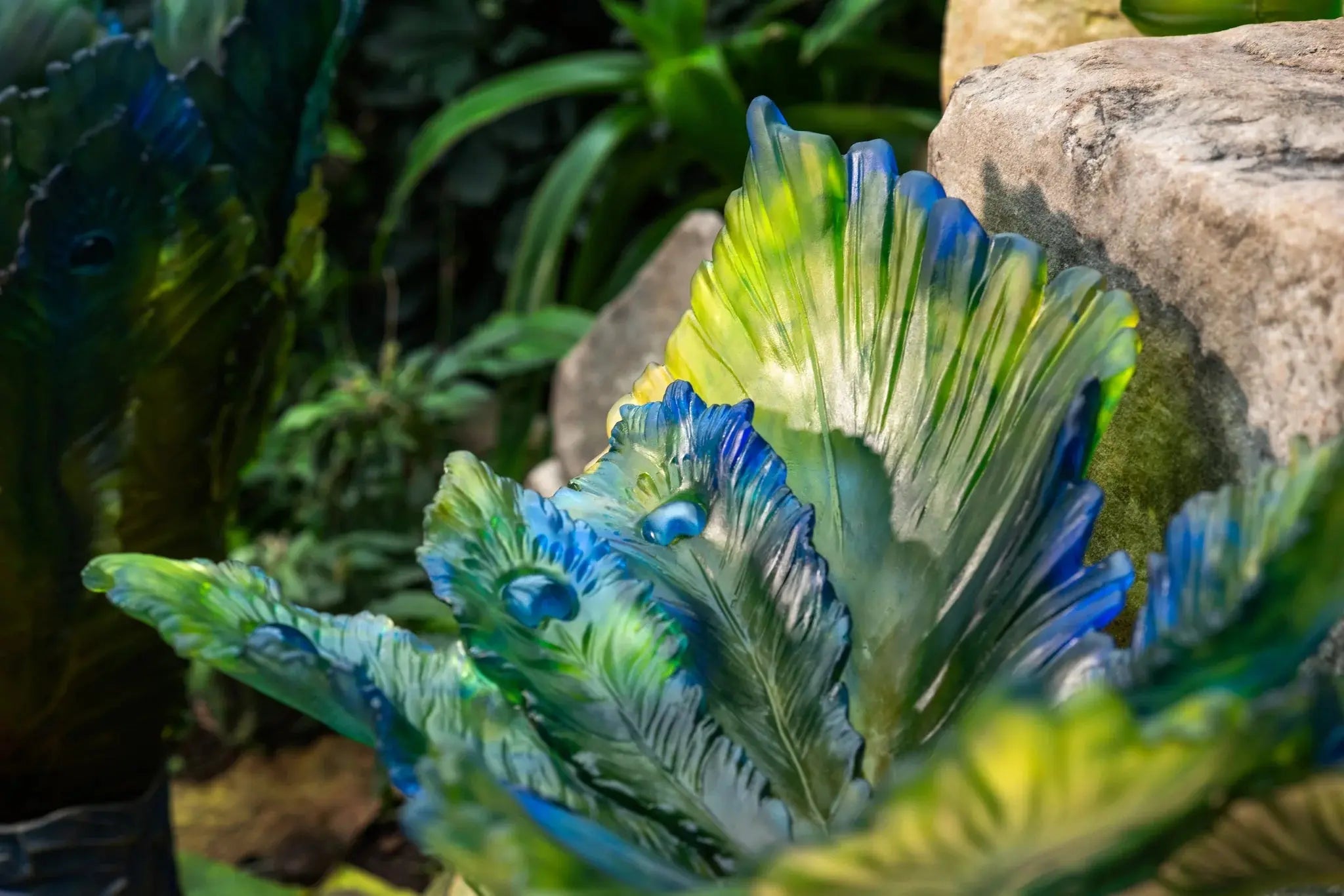 Fleur de Paon Exotique