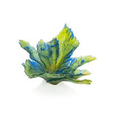 Fleur de Paon Exotique Centerpiece