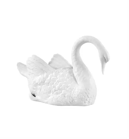 CISNES Vista Alegre