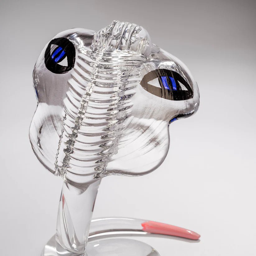 Cobra Ld 100 Design by Åsa Jungnelius Kosta Boda - Crystal House