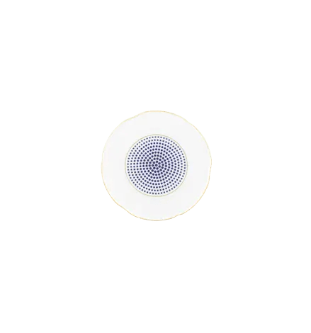 CONSTELLATION D'OR XL OVAL PLATTER Vista Alegre