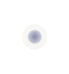 CONSTELLATION D'OR XL OVAL PLATTER Vista Alegre