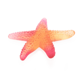Coral Sea Amber Red Starfish Daum