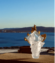 Coral Sea Gilded White Large Vase Daum - Crystal House
