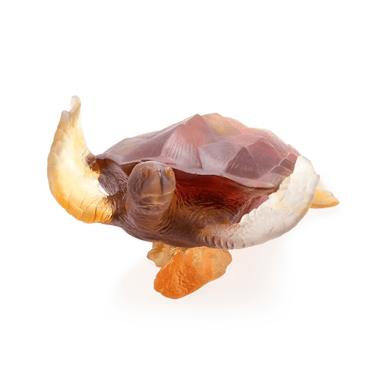 Coral Sea Large Amber Grey Sea Turtle Daum