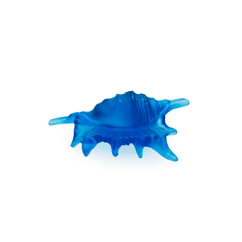 Coral Sea Small Shell Daum