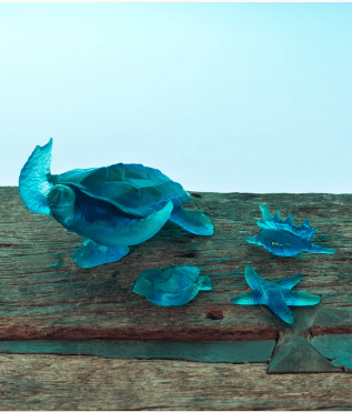 Coral Sea Small Shell Daum - Crystal House