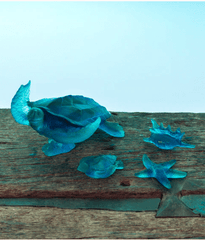 Coral Sea Small Shell Daum - Crystal House