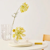 Crackle Bowl/Votive Clear Kosta Boda - Crystal House