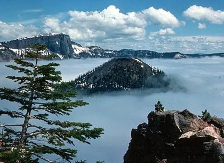 Electric Blue Athena Vase - 1909 Monarch Custom Glass