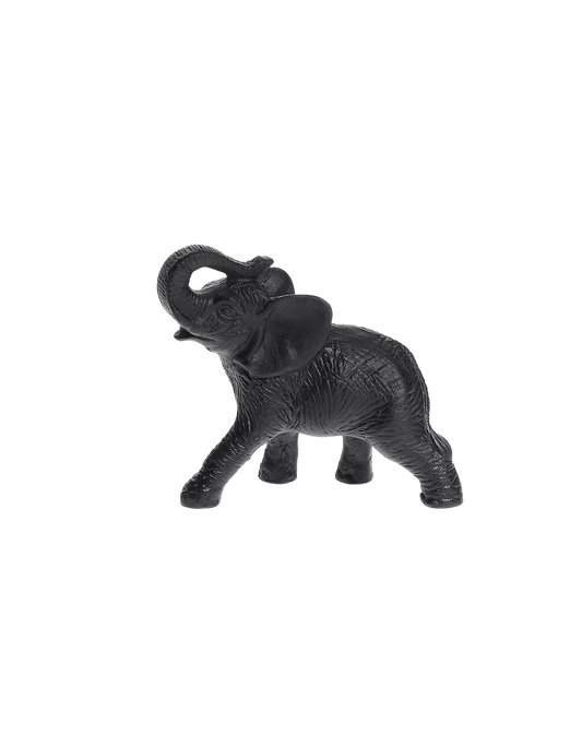 Elephant Daum