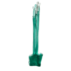 Ensemble by Laurence Bonnel 125ex Daum