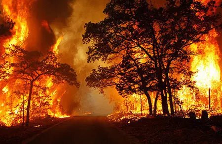 Fire Mountain Tear drop - 1959 Monarch Custom Glass