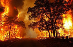 Fire Mountain Tear drop - 1959 Monarch Custom Glass