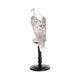 Gyrfalcon by Madeleine van der Knoop 50 ex Daum