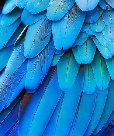 Hyacinth Athena Vase - 2115 Monarch Custom Glass