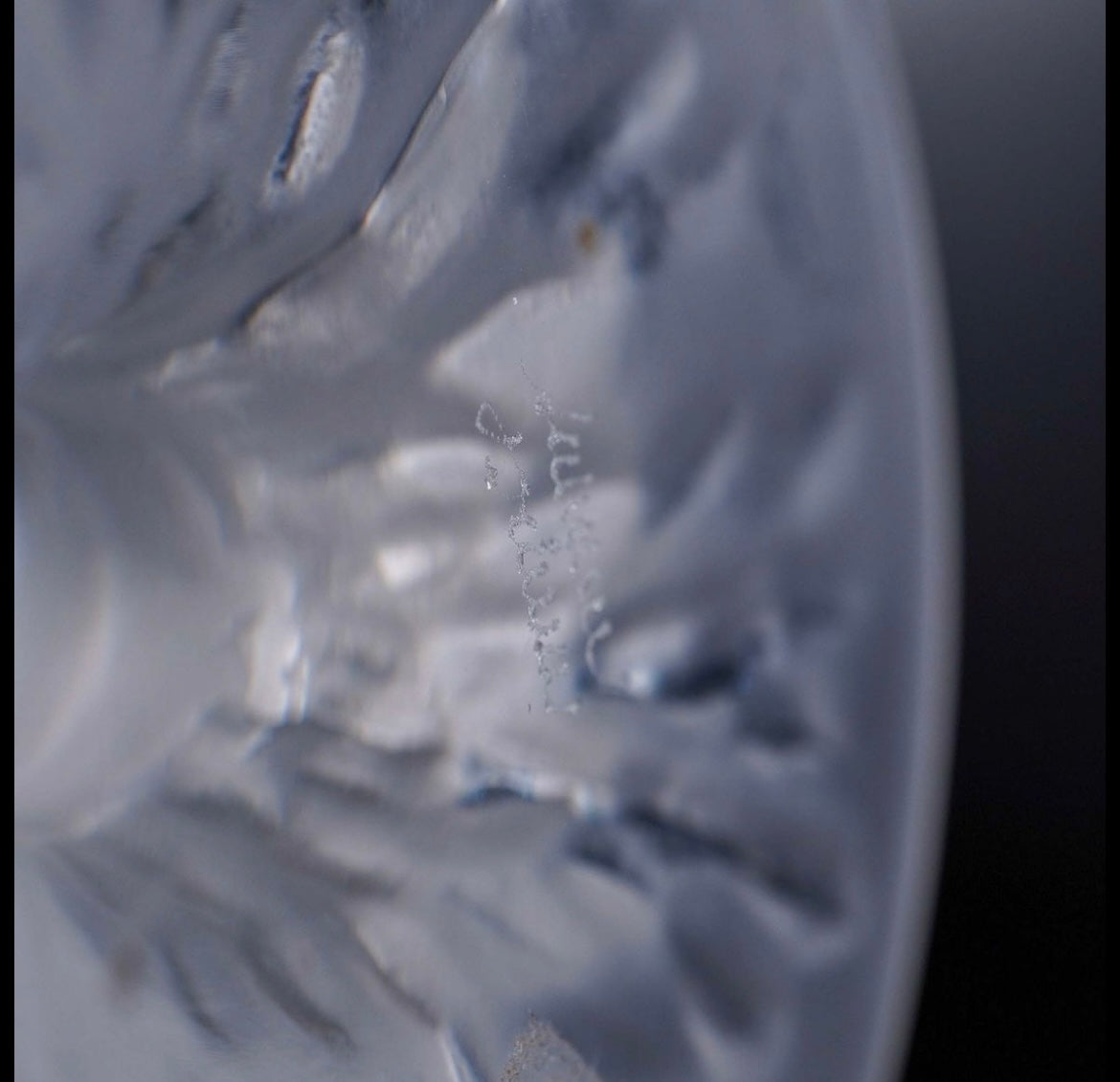 Lalique Crystal Figurine, Singing Seagull on Frosted Base Crystal House - Replacements