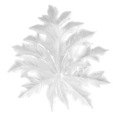 Large Bornéo Wall Leaf by Emilio Robba Daum