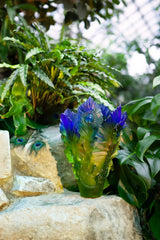 Large Vase - Fleur de Paon Exotique Daum