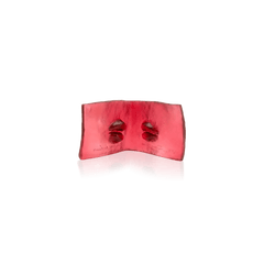 Le livre du baiser by Dominique Vial Daum