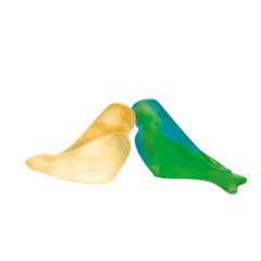 Love Birds in Green & Yellow by Pierre-Yves Rochon Daum