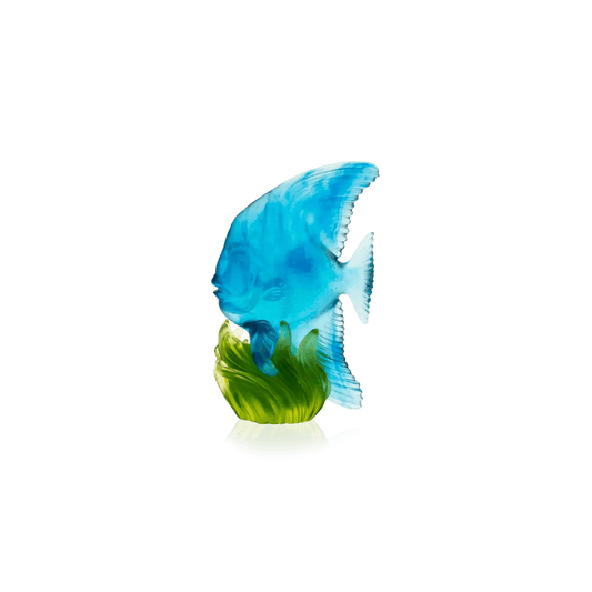 Maya Medium Blue & Green Platax Fish Daum
