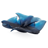 Maya Rays Centerpiece