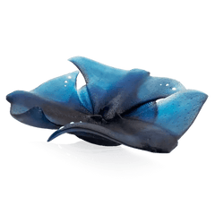 Maya Rays Centerpiece