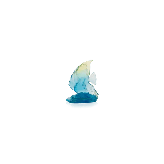 Maya Small Platax Fish Daum