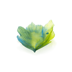 MEDIUM BOWL - Fleur de Paon Exotique Daum