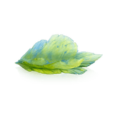 MEDIUM BOWL - Fleur de Paon Exotique Daum