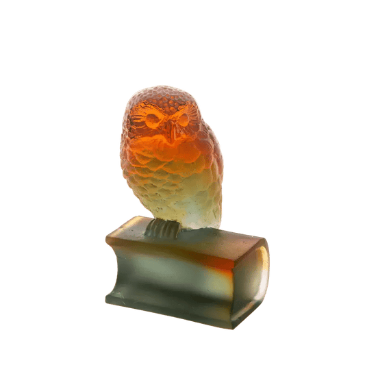 Owl on Book by Daum Daum