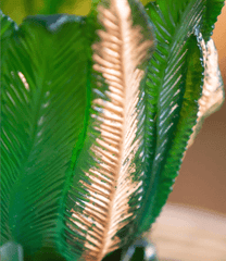 Palm Beach Medium Golden Vase Daum - Crystal House