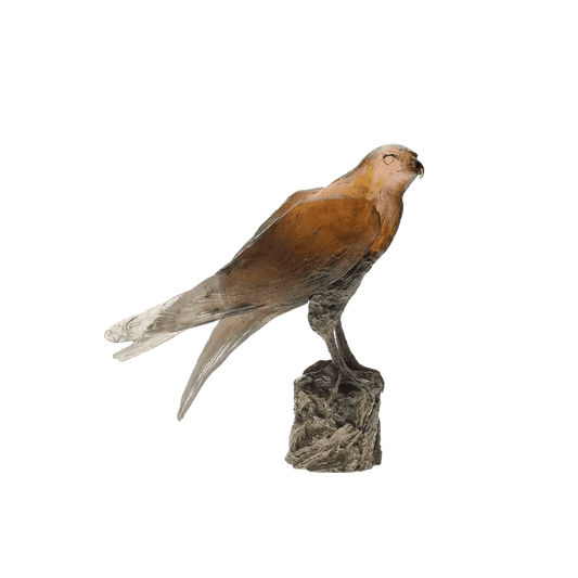 Saker Hawk by Madeleine van der Knoop 375 ex Daum